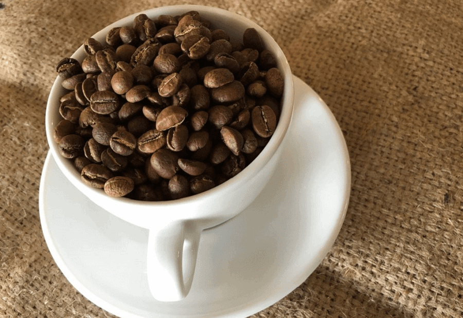 Hương Vị Cà Phê Peaberry