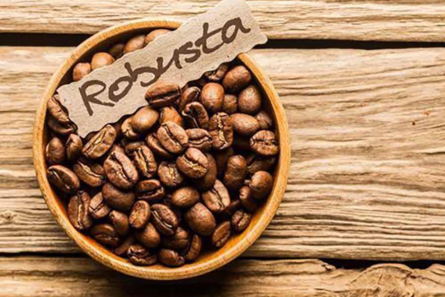 cafe Robusta