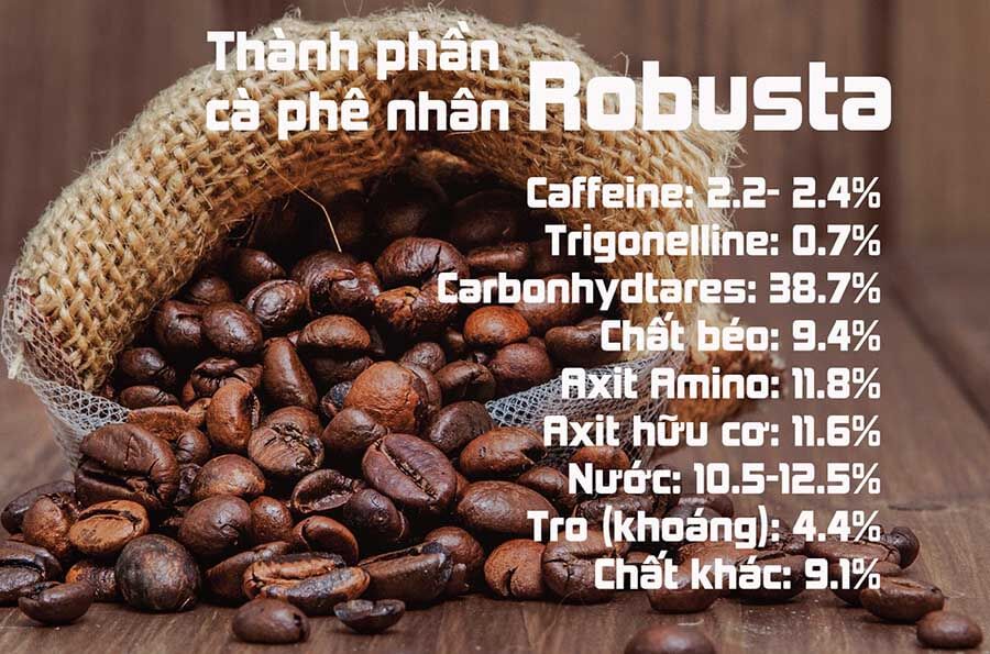 thành phần cafe Robusta