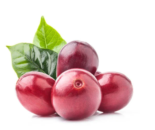 Red Coffee Beans Isolated On White Background With Clipping Path