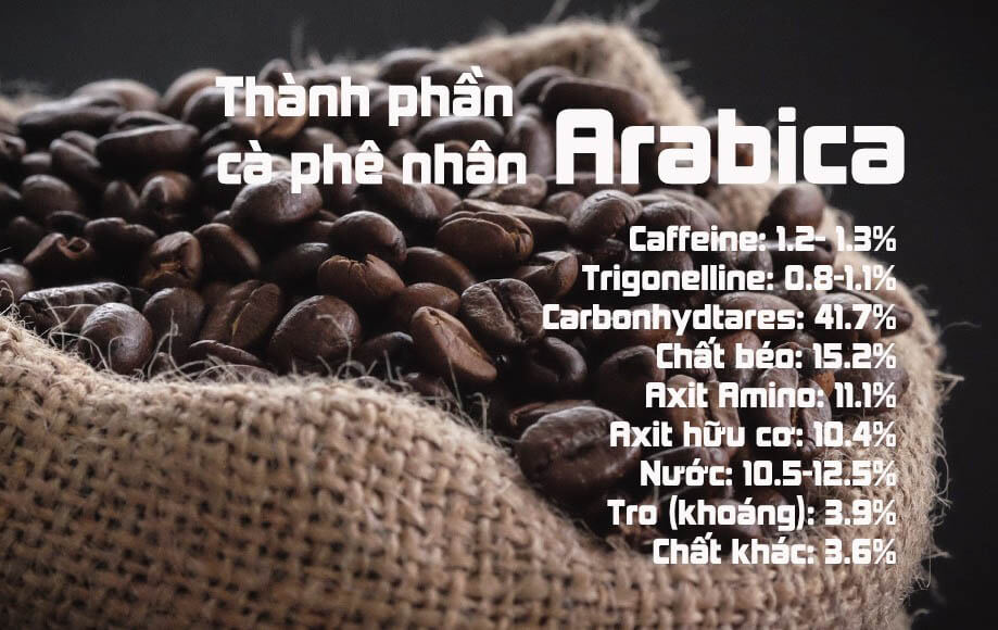 thành phần cafe Arabica